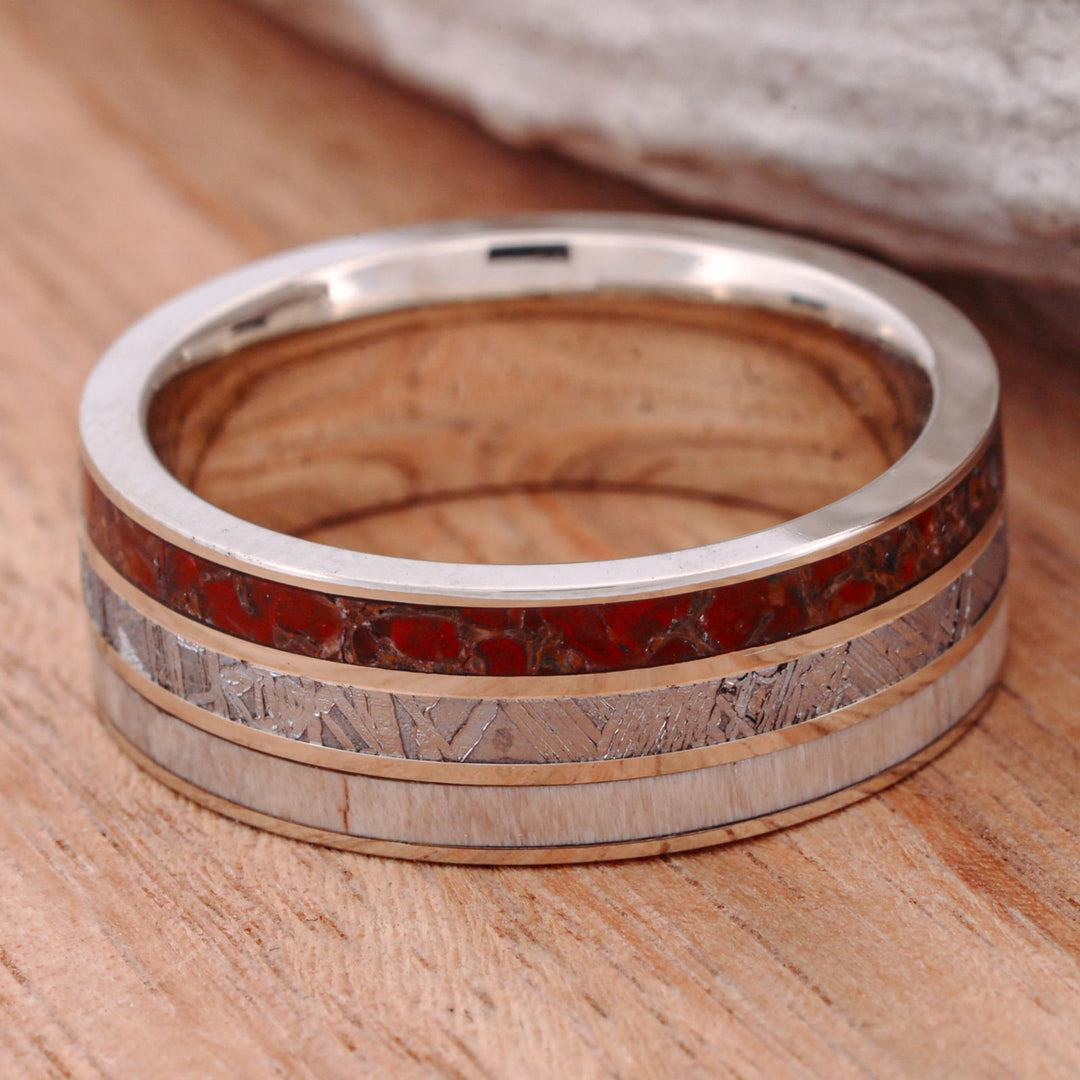 Etched Muonionalusta Meteorite, Dinosaur Bone, & Petrified Wood Inlays