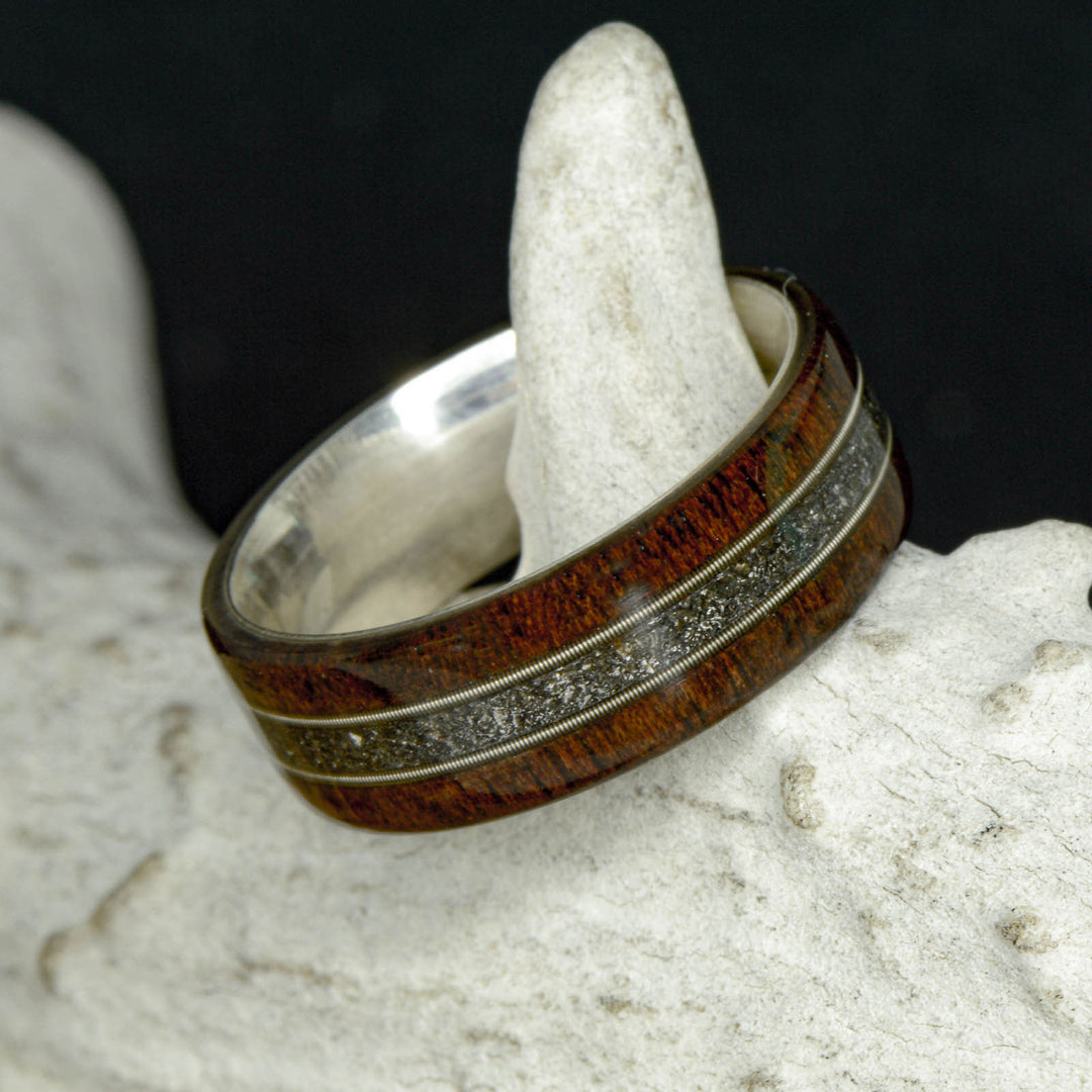 Walnut, Two Guitar Strings, & Meteorite