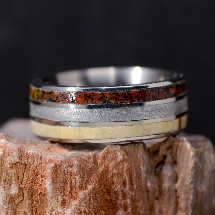 Etched Muonionalusta Meteorite, Dinosaur Bone, & Petrified Wood Inlays