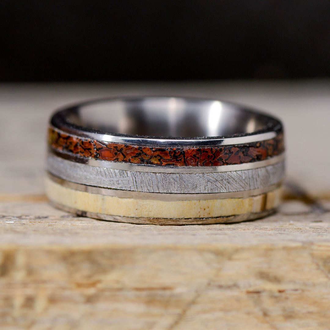 Etched Muonionalusta Meteorite, Dinosaur Bone, & Petrified Wood Inlays