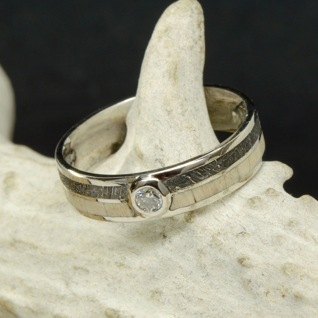Etched Muonionalusta Meteorite, Petrified Wood, & Diamond Stone Setting