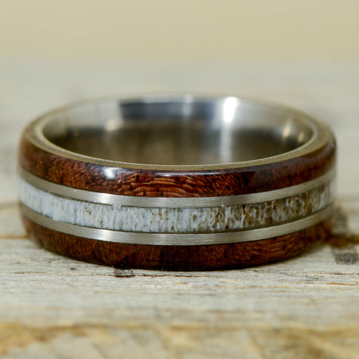 Walnut, Antler