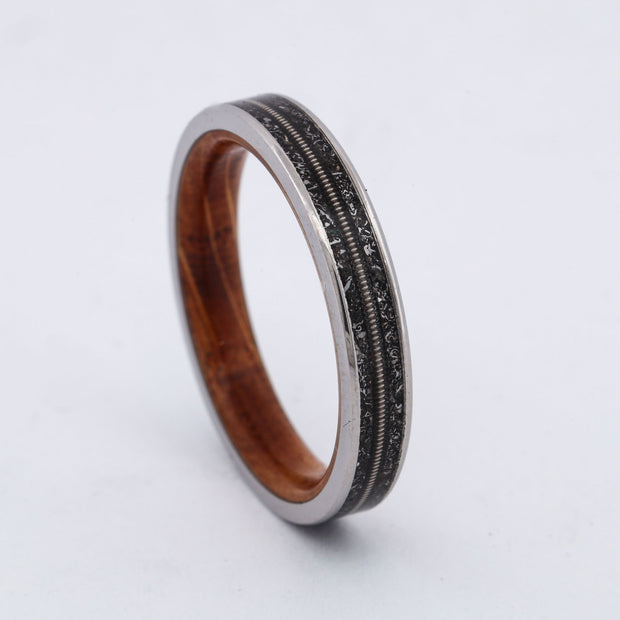 SALE RING -  Titanium, Meteorite, Guitar String, & Whiskey Barrel Wood - Size 9.5