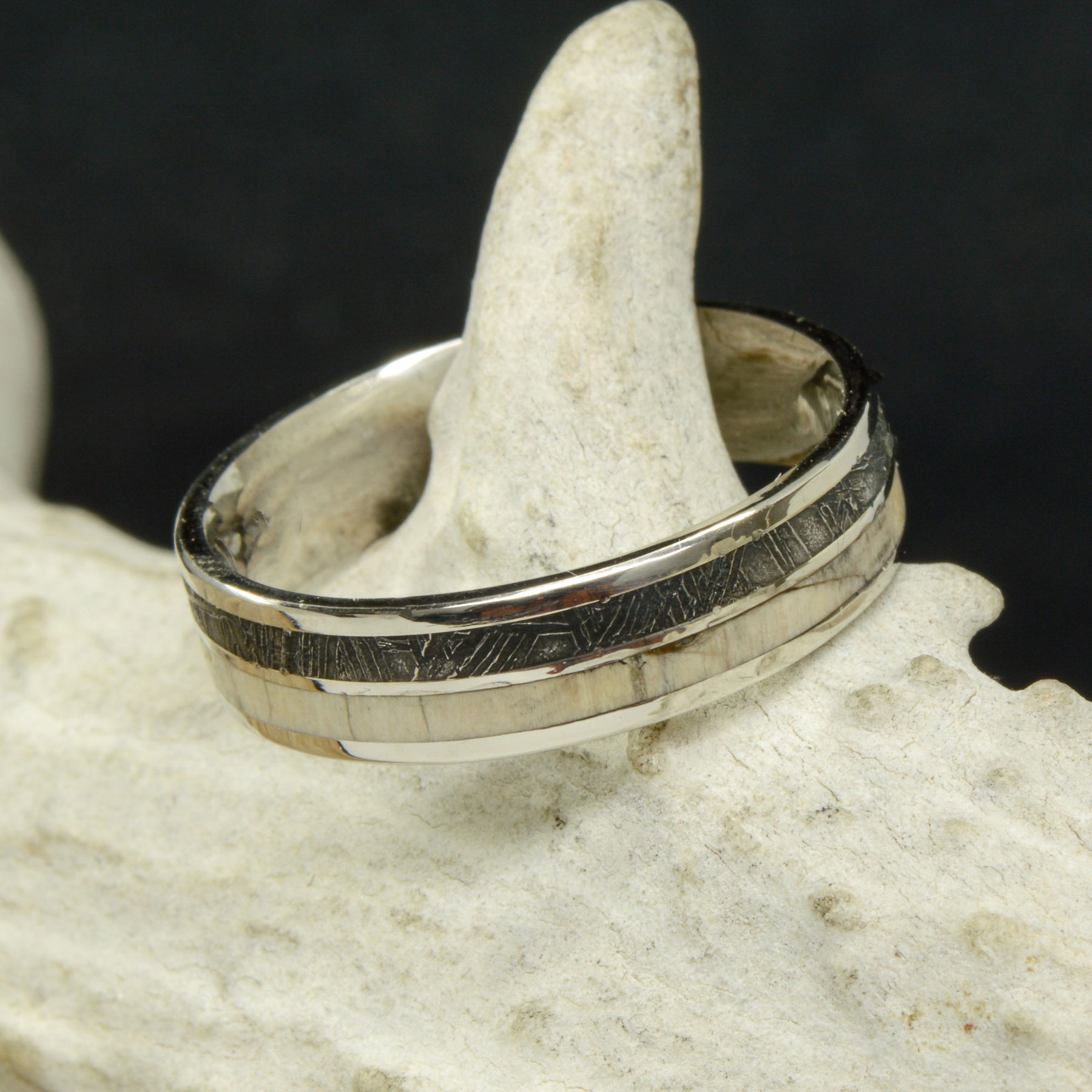 Petrified wood 2025 engagement ring